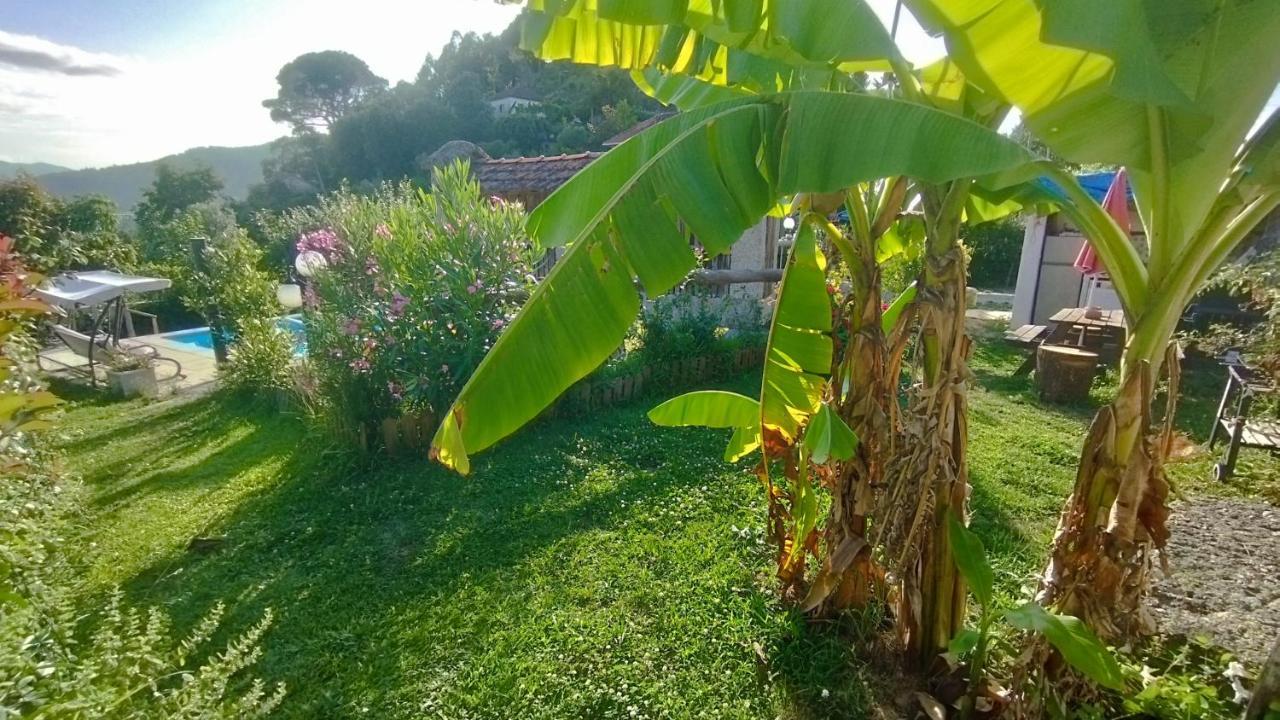 Alojamento De Crasto - Geres Zewnętrze zdjęcie